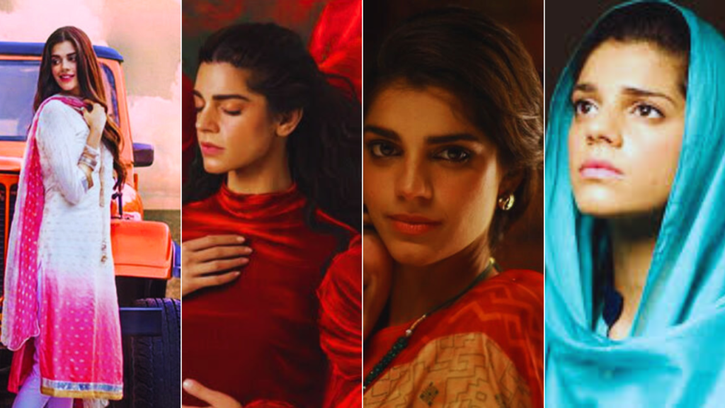 Top 3 Sanam Saeed Dramas to watch before Barzakh