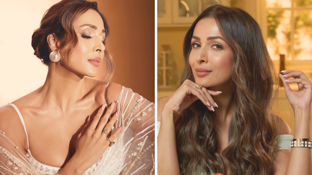 Malaika Arora Biography: Age, Boyfriend, Net Worth, Father