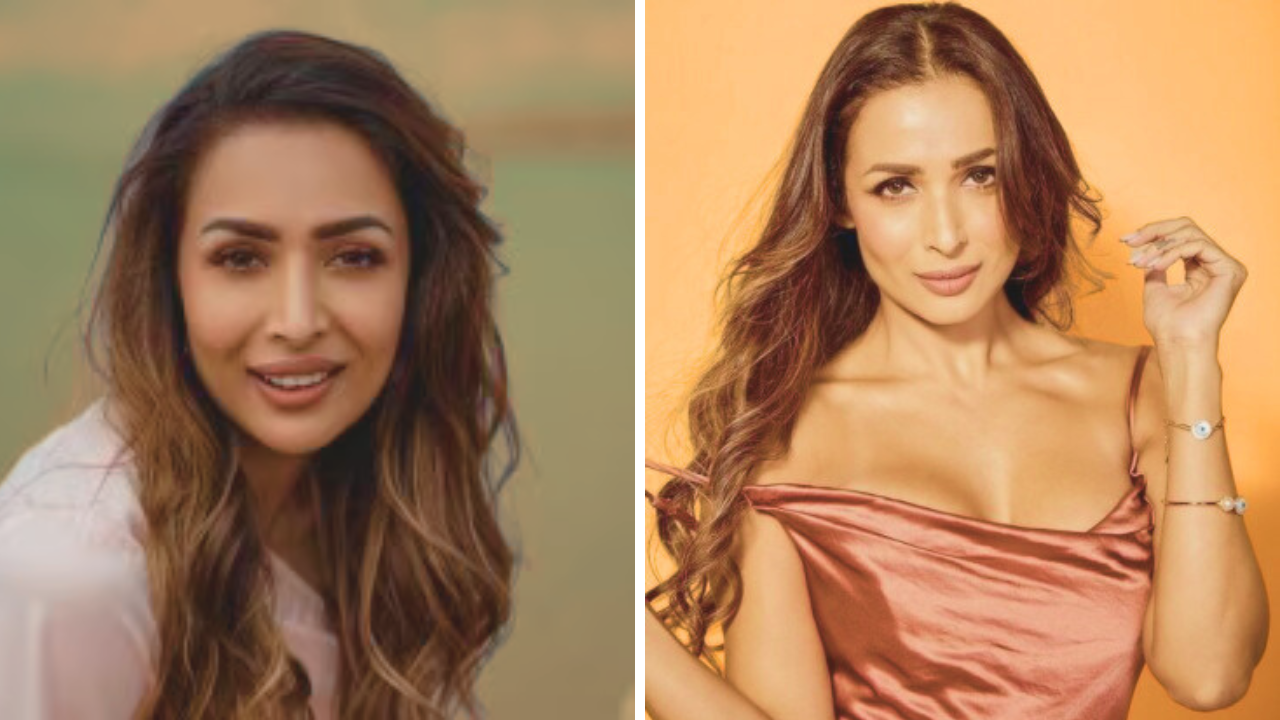 Malaika Arora Biography: Age, Boyfriend, Net Worth, Father