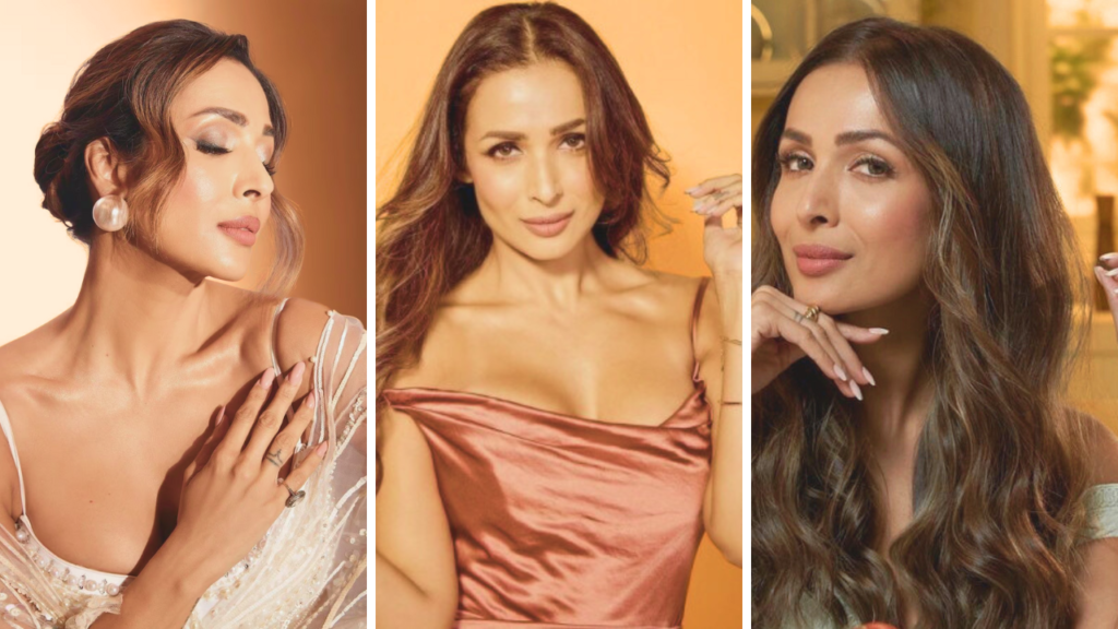 Malaika Arora Biography: Age, Boyfriend, Net Worth, Father